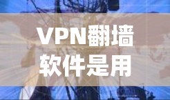 VPN翻墙软件是用户绕过VPN服务器的常见工具，可以帮助他们安全地访问互联网。以下是一些推荐的VPN翻墙软件，它们功能强大且易于使用