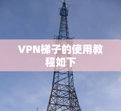 VPN梯子的使用教程如下
