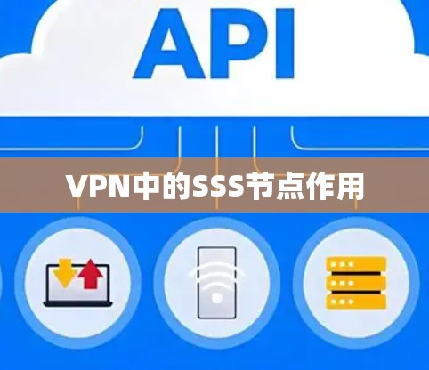 VPN中的SSS节点作用