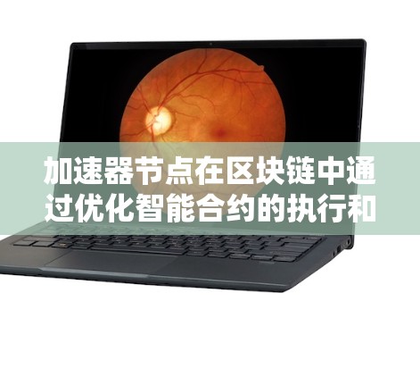 加速器节点在区块链中通过优化智能合约的执行和数据传输，显著提高了网络的吞吐量和性能，减少了延迟和网络使用量。以下是加速器节点的详细解释