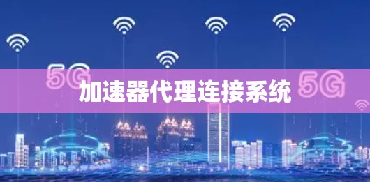加速器代理连接系统