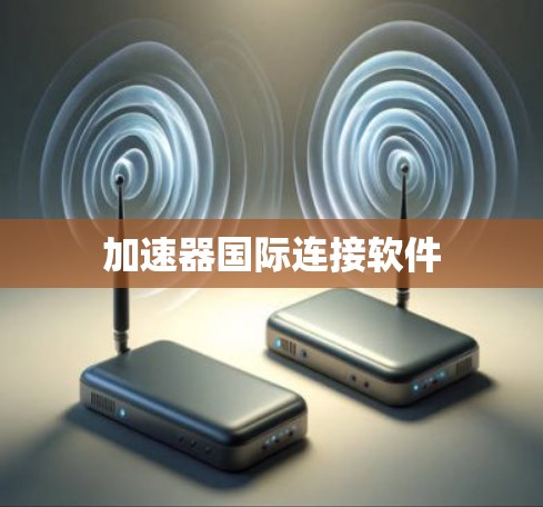 加速器国际连接软件 加速器国际连接软件