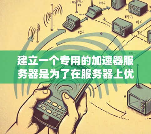 建立一个专用的加速器服务器是为了在服务器上优化性能，提升系统运行效率。以下是对该问题的详细分析和建议