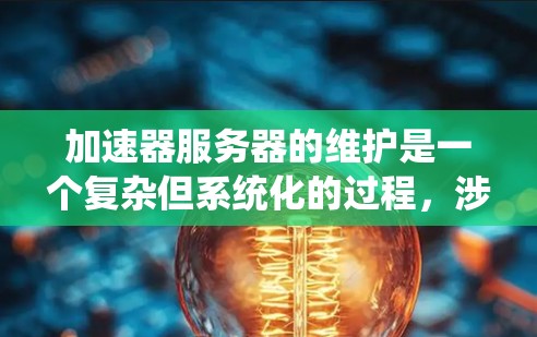 加速器服务器的维护是一个复杂但系统化的过程，涉及多个方面和步骤。以下是详细的维护步骤指南