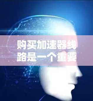 购买加速器线路是一个重要的车辆维护和保养步骤，以下是详细的步骤和建议