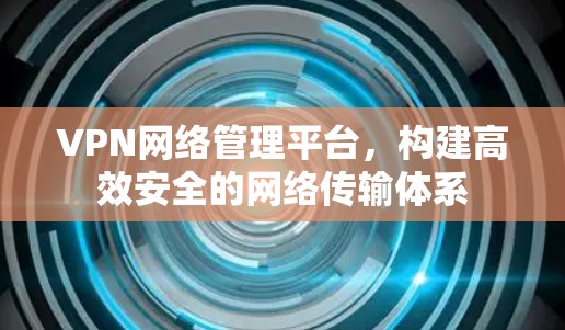 VPN网络管理平台，构建高效安全的网络传输体系