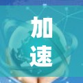 加速器综合测试工具是一种用于评估汽车加速性能、刹车能力和碰撞反应的综合测试工具。以下是对该工具的详细分析和使用指南