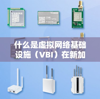 什么是虚拟网络基础设施（VBI）在新加坡服务器节点中的应用与挑战