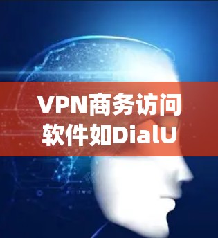 VPN商务访问软件如DialUp、NetNest、Vox和Uplink，是商务用户访问国际网络环境的理想选择。以下是对这些软件的详细分析