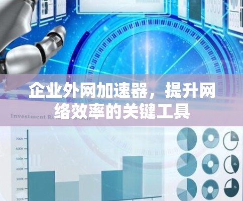 企业外网加速器，提升网络效率的关键工具