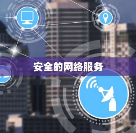 安全的网络服务
