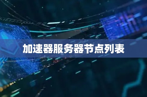 加速器服务器节点列表
