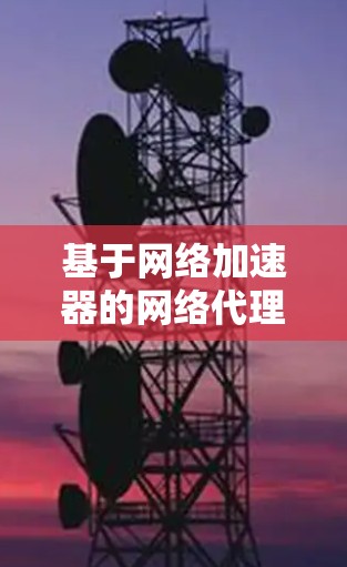 基于网络加速器的网络代理平台