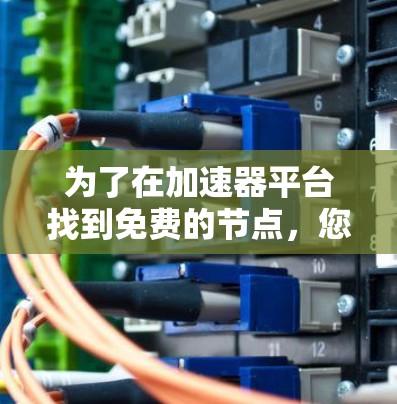 为了在加速器平台找到免费的节点，您可以按照以下步骤操作
