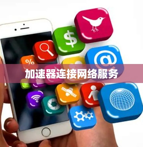 加速器连接网络服务