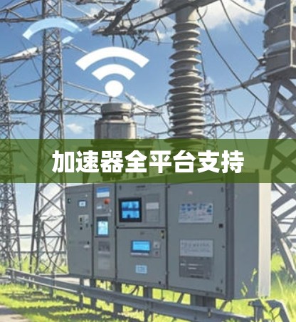 加速器全平台支持