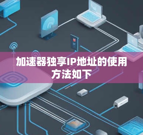 加速器独享IP地址的使用方法如下