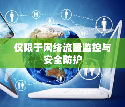 仅限于网络流量监控与安全防护