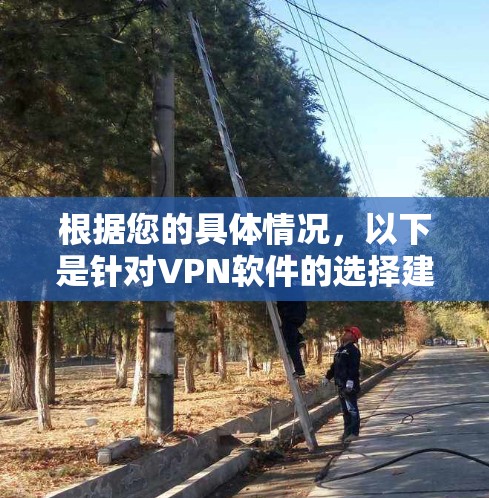 根据您的具体情况，以下是针对VPN软件的选择建议
