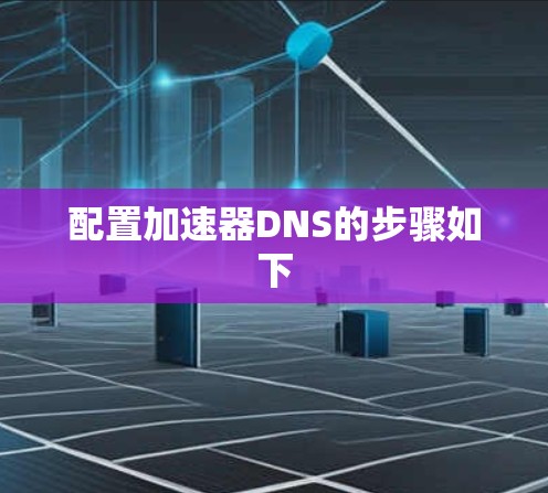 配置加速器DNS的步骤如下