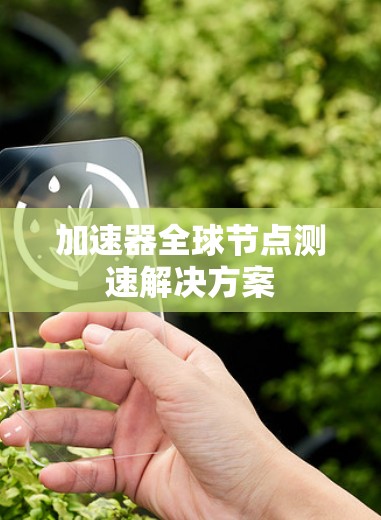 加速器全球节点测速解决方案
