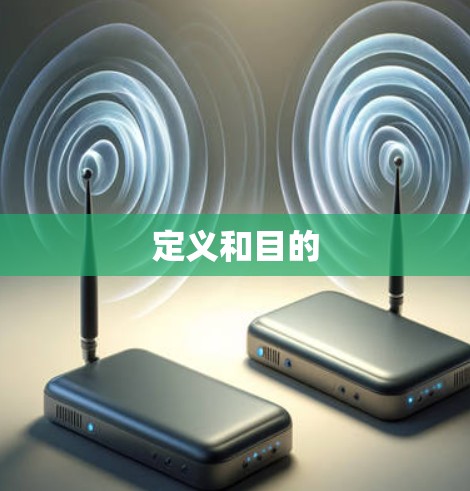 定义和目的