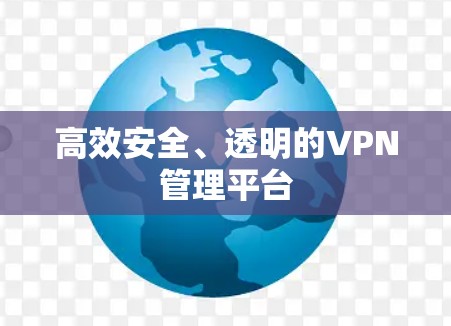 高效安全、透明的VPN管理平台