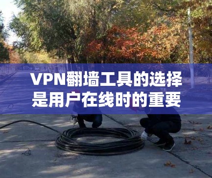 VPN翻墙工具的选择是用户在线时的重要资源之一。以下是一些推荐的VPN翻墙工具，供你参考