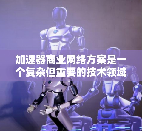 加速器商业网络方案是一个复杂但重要的技术领域，涉及多个关键元素，旨在提高数据流处理的速度和效率。以下是对该领域内容的详细总结