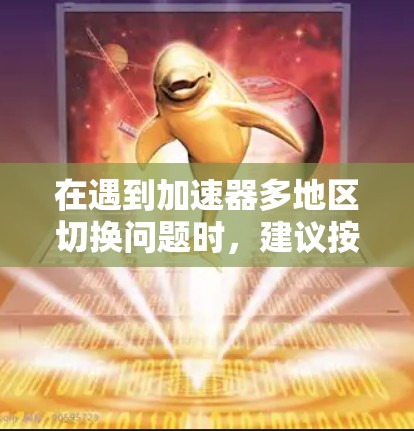 在遇到加速器多地区切换问题时，建议按照以下步骤进行排查和解决