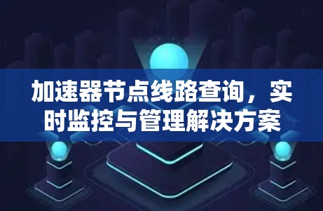 加速器节点线路查询，实时监控与管理解决方案
