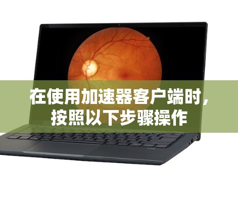 在使用加速器客户端时，按照以下步骤操作