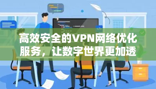 高效安全的VPN网络优化服务，让数字世界更加透明与可靠