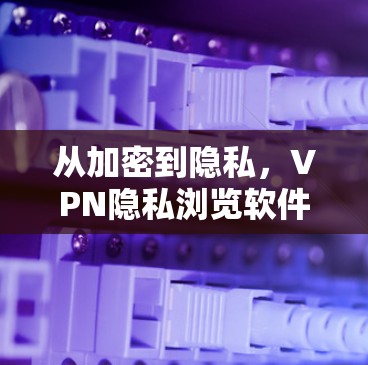 从加密到隐私，VPN隐私浏览软件的未来展望