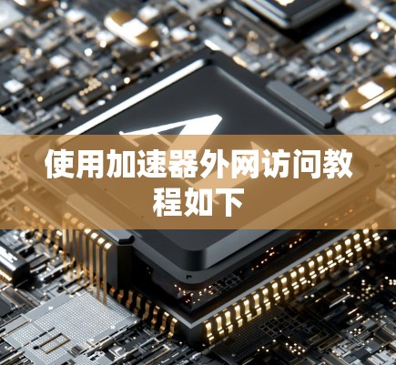使用加速器外网访问教程如下