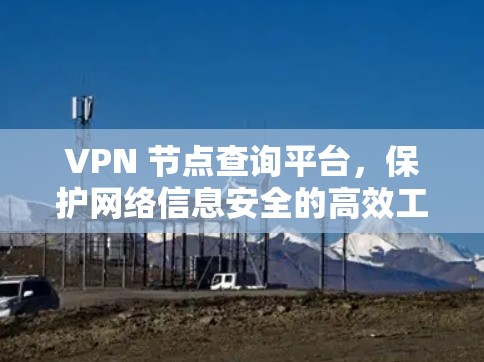 VPN 节点查询平台，保护网络信息安全的高效工具