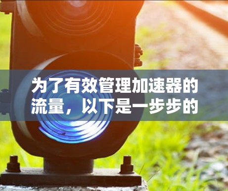 为了有效管理加速器的流量，以下是一步步的指南