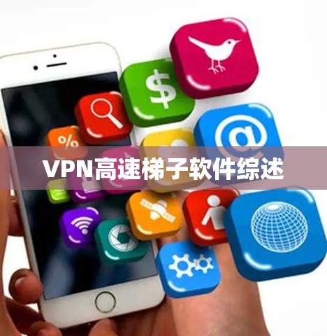 VPN高速梯子软件综述
