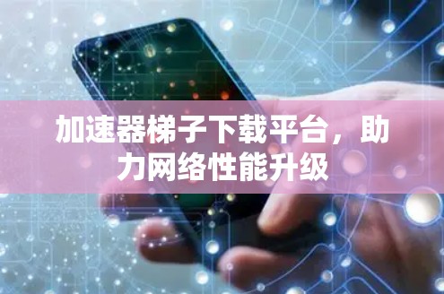 加速器梯子下载平台，助力网络性能升级