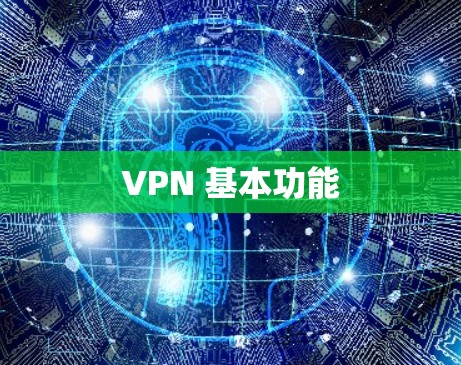 VPN 基本功能 VPN 基本功能