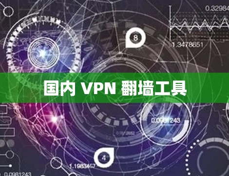 国内 VPN 翻墙工具