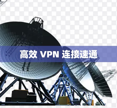 高效 VPN 连接速通