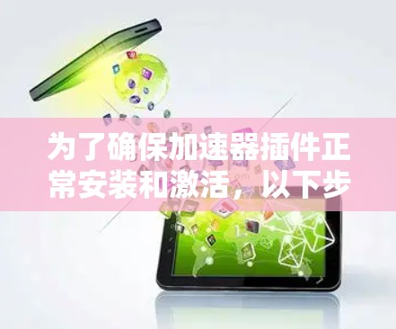 为了确保加速器插件正常安装和激活，以下步骤是关键