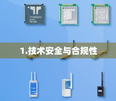 1.技术安全与合规性