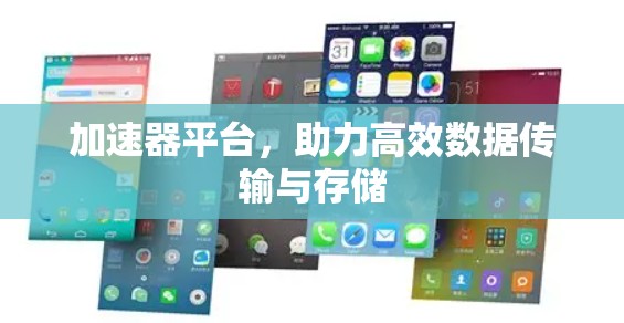加速器平台，助力高效数据传输与存储
