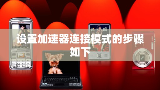 设置加速器连接模式的步骤如下