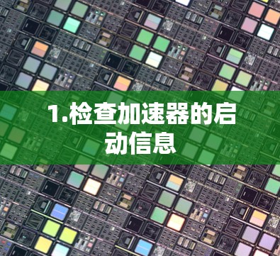 1.检查加速器的启动信息