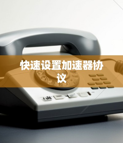 快速设置加速器协议